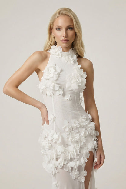 Clytie Maxi Elbise