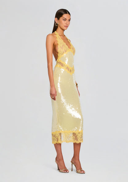 Vicky Sequin Lace Dress